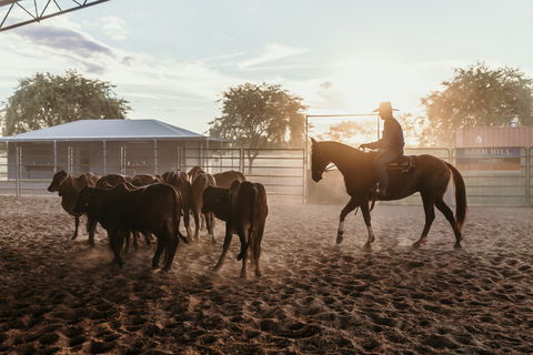 Katherine Outback Experience - Horse Riding Experience - Gold Coast Attractions 2