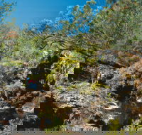 Kroombit Tops National Park - Gold Coast Attractions