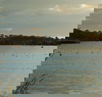 Lake Inverell Reserve - Gold Coast Attractions