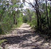 Lanky's Walk - Gold Coast Attractions