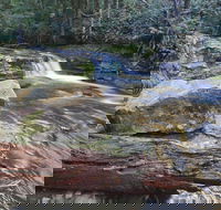 Liffey Falls Reserve - Gold Coast Attractions