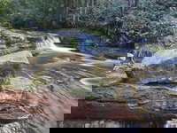 Liffey Falls Reserve