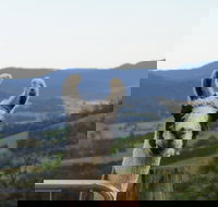 Llama Walks Tasmania - Gold Coast Attractions