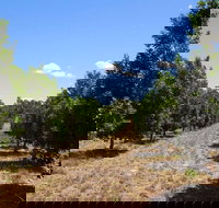 MacNuts WA Shop and Factory - Gold Coast Attractions