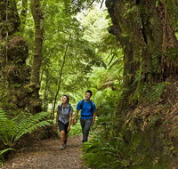 Melba Gully