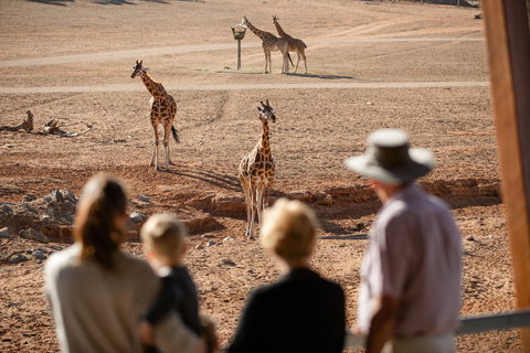 Monarto Safari Park - Gold Coast Attractions 0