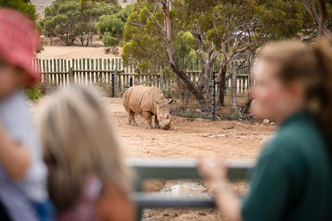 Monarto Safari Park - Gold Coast Attractions 1