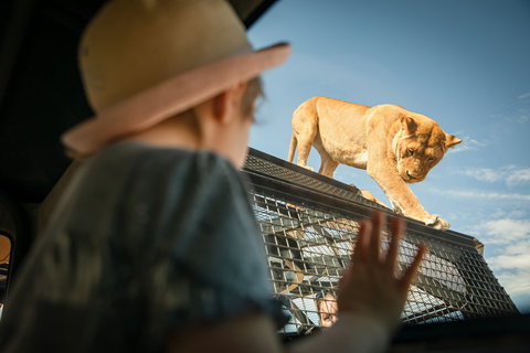 Monarto Safari Park - Gold Coast Attractions 2