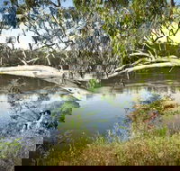 Murray Valley National Park - Gold Coast Attractions