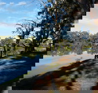 Murray River National Park - Katarapko - Gold Coast Attractions