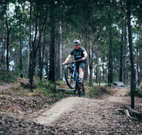 Nerang Mountain Bike Trails - Gold Coast Attractions