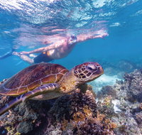 Ningaloo Marine Park - Gold Coast Attractions
