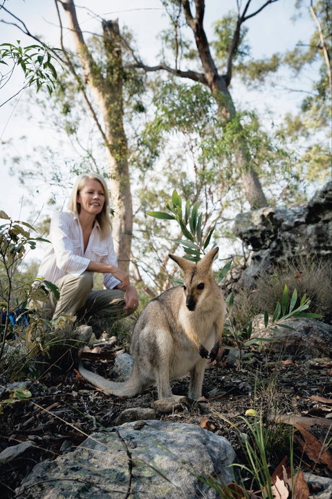 North Burnett - Mount Perry (via Monto) To Biggenden To Childers - Gold Coast Attractions 2