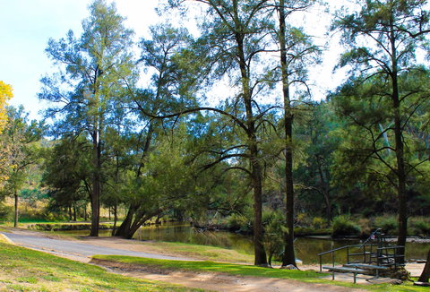 Ophir Reserve - Gold Coast Attractions 1