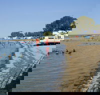 Port Vincent - Gold Coast Attractions