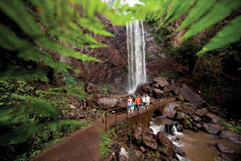 Queen Mary Falls Circuit, Main Range National Park - Gold Coast Attractions 0