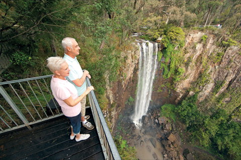 Queen Mary Falls Circuit, Main Range National Park - Gold Coast Attractions 1