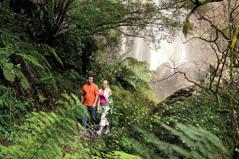 Queen Mary Falls Circuit, Main Range National Park - Gold Coast Attractions 2