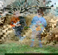 Rain Hayne and Shine Farmyard