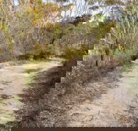 Red Rocks trig walking track - Gold Coast Attractions