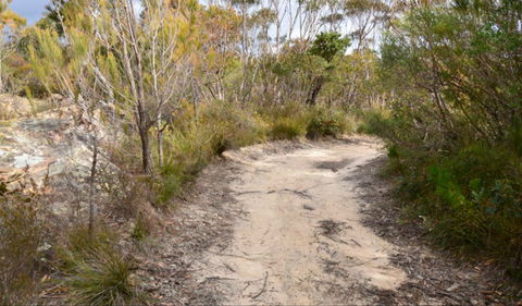Red Rocks Trig Walking Track - Gold Coast Attractions 0