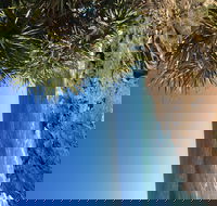 Richmond Valley Cultural Heritage Self Drive Tour - Gold Coast Attractions