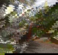 Roraima Nursery and Cafe - Gold Coast Attractions