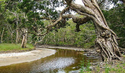 Saltwater National Park - Gold Coast Attractions 0