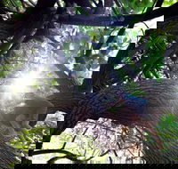 Scarborough Beach Park - Gold Coast Attractions