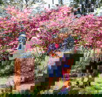 Sculpture at Petana - Gold Coast Attractions