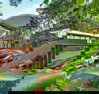 Sea Acres Rainforest Centre - Gold Coast Attractions