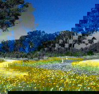 Shearer's Way - Gold Coast Attractions