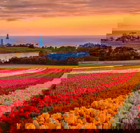 Table Cape - Gold Coast Attractions