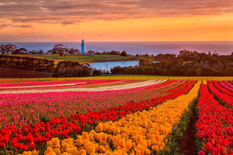 Table Cape - Gold Coast Attractions 0