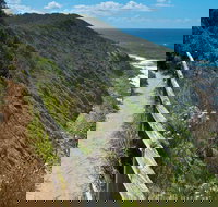 The Coast Walking Track - Gold Coast Attractions