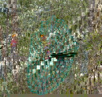 TreeTops Newcastle - Gold Coast Attractions