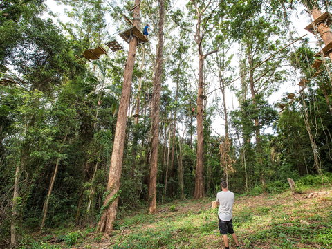 TreeTop Challenge - Sunshine Coast - Gold Coast Attractions 1
