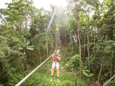 TreeTop Challenge - Sunshine Coast - Gold Coast Attractions 2