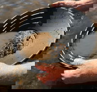 Tuena Panning for Gold - Gold Coast Attractions