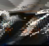 UNE Natural History Museum - Gold Coast Attractions