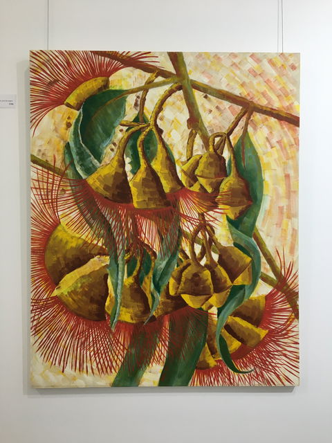 Wacky Bird Gallery - Gold Coast Attractions 1