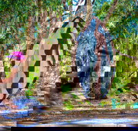 Wagirra Trail and Yindyamarra Sculpture Walk - Gold Coast Attractions