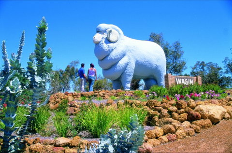 Wagin - Gold Coast Attractions 0