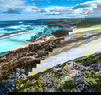 Walpole - Gold Coast Attractions
