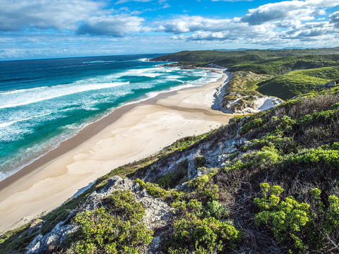 Walpole - Gold Coast Attractions 0