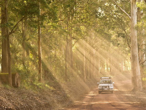 Walpole - Gold Coast Attractions 1