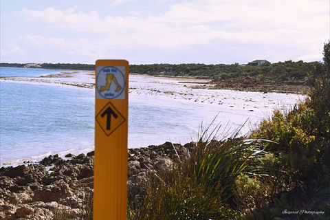 Walk The Yorke Trail - Gold Coast Attractions 2