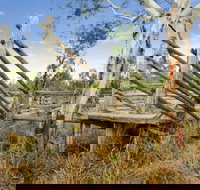 Wandoan - Gold Coast Attractions