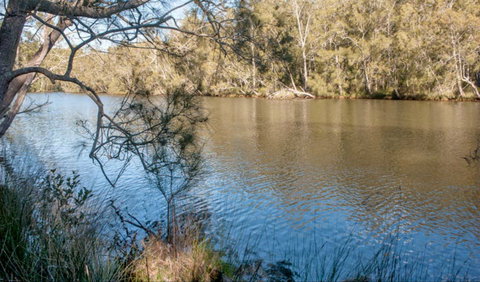 Wandandian Creek Picnic Area - Gold Coast Attractions 0