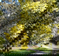 Wattle Park - Gold Coast Attractions